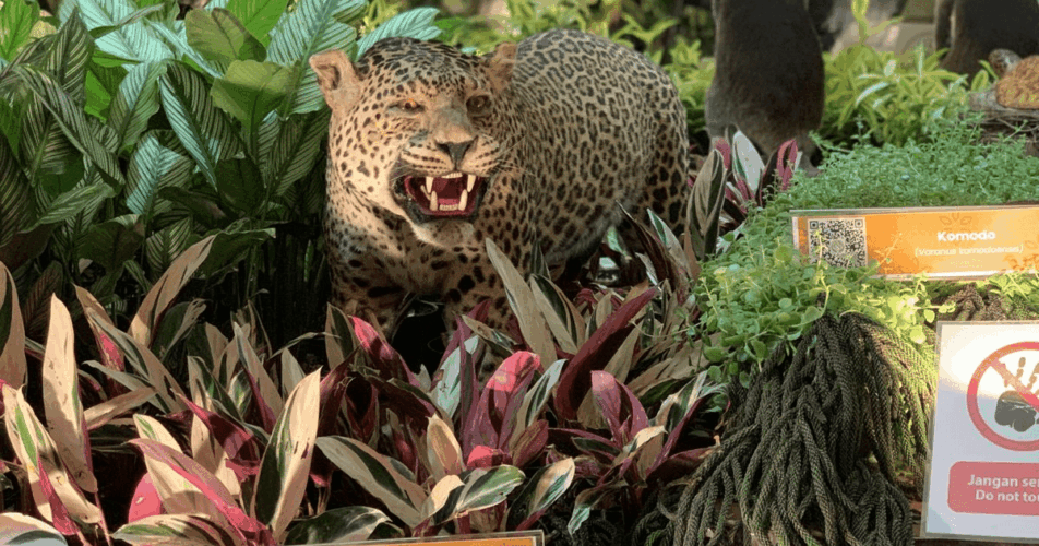 Wisata Malam Ragunan