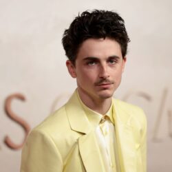 Kontroversi Pernyataan Timothé́e Chalamet di Dunia Seni