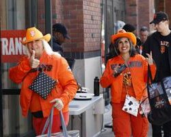 Aktivitas Seru di SF: Matahari dan Hiburan Menanti