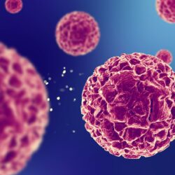 Genetika dan Kanker Ginjal: Tantangan di Balik Hidup Sehat