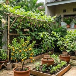 10 Pohon Buah Mini untuk Berkebun di Kota